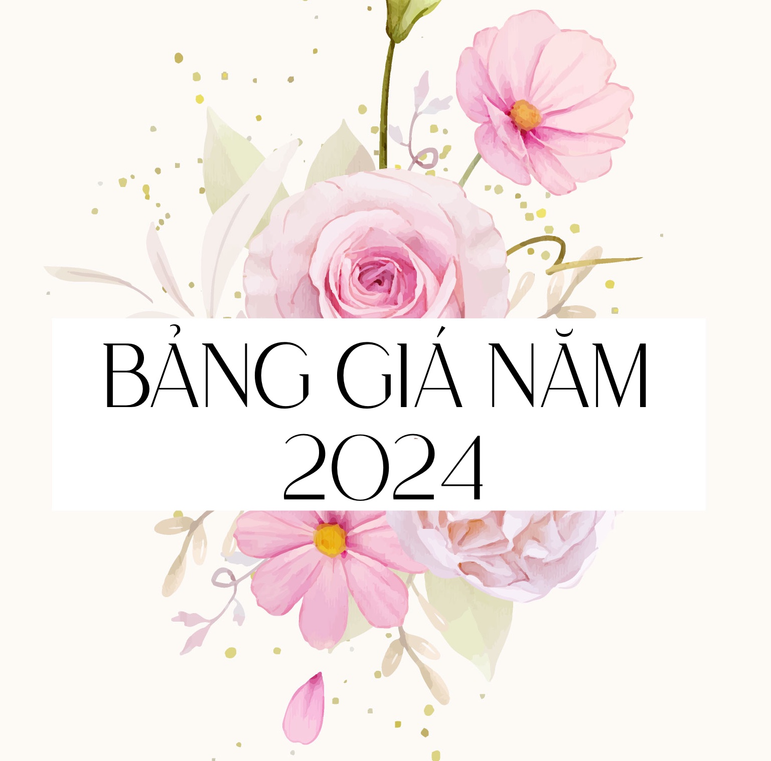 Bảng giá dịch vụ cập nhật năm 2024